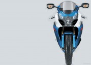 Suzuki GSX-R1000